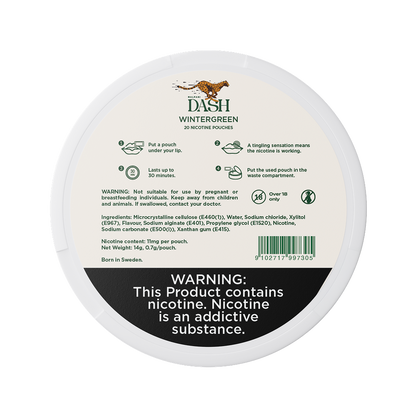 Dash Wintergreen - 11mg