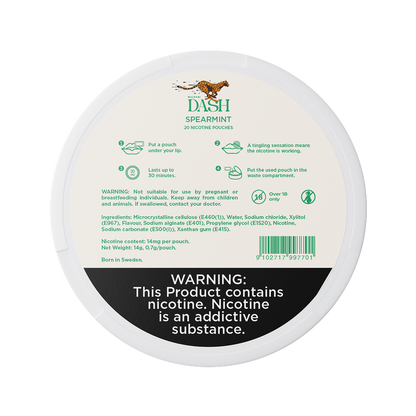 Dash Spearmint - 14mg