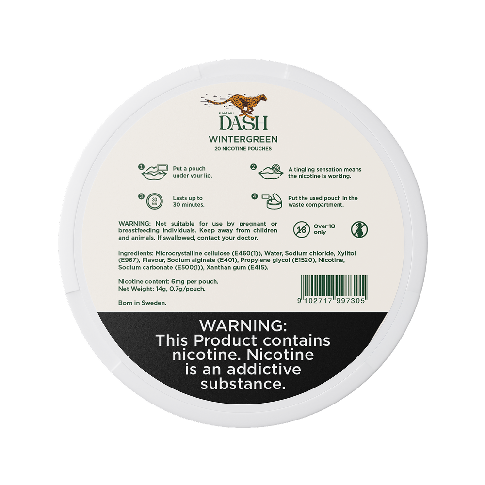 Dash Wintergreen - 8mg