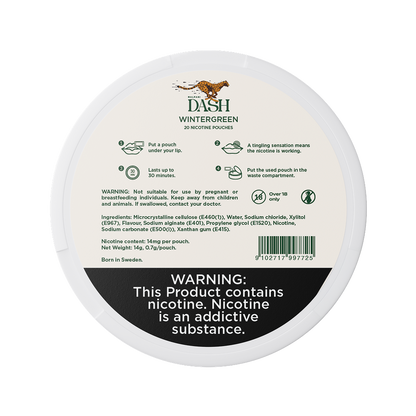 Dash Wintergreen - 14mg