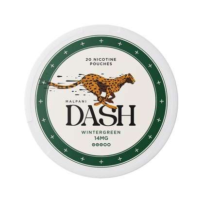 Dash Wintergreen - 14mg