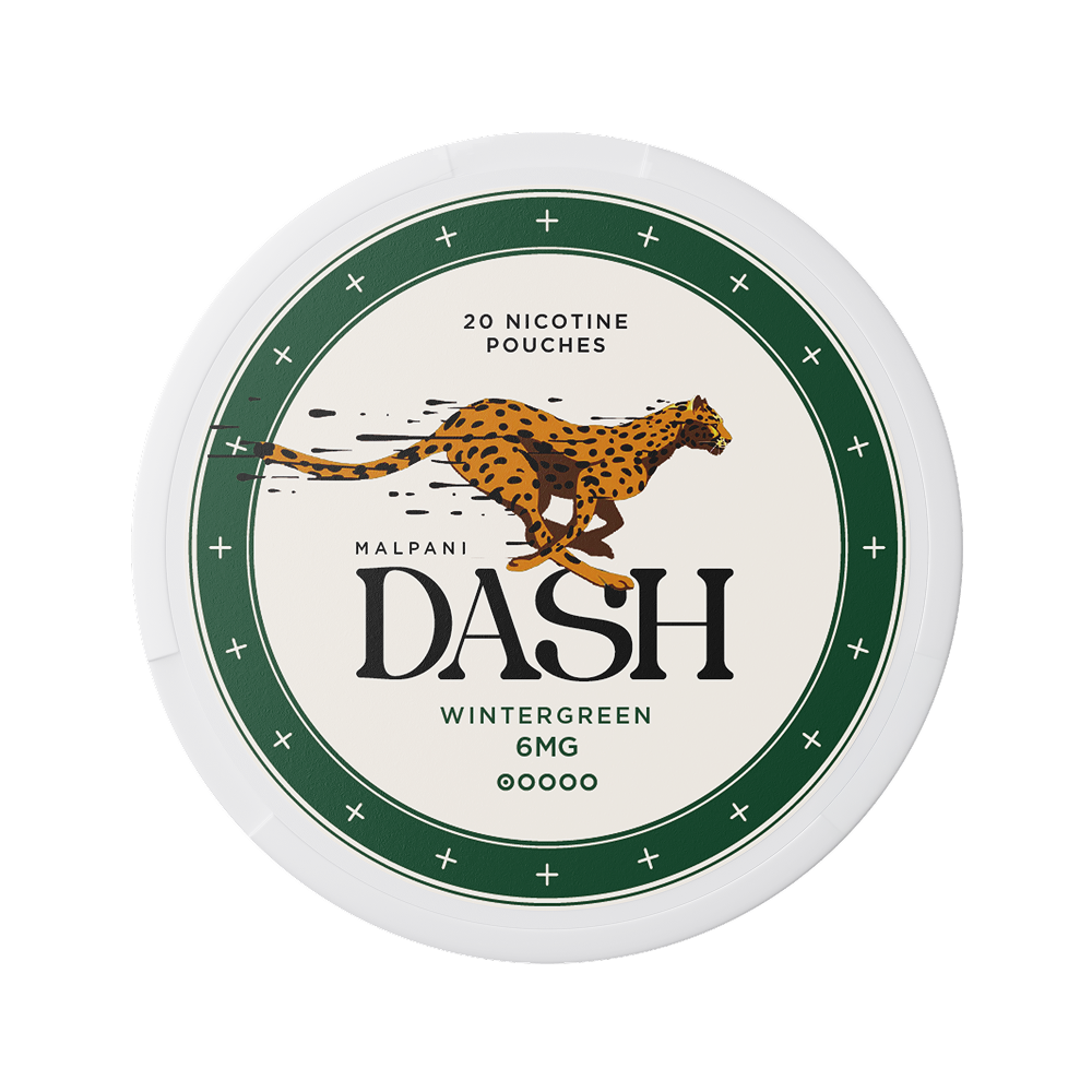 Dash Wintergreen - 8mg