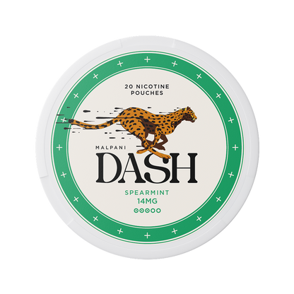 Dash Spearmint - 14mg