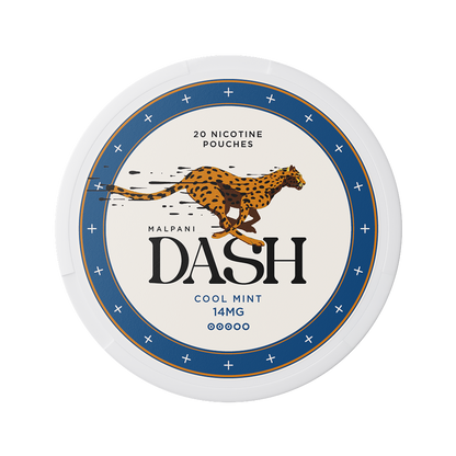 Dash Cool Mint - 14mg