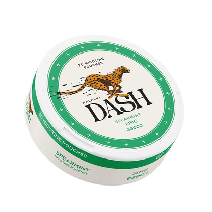 Dash Spearmint - 14mg