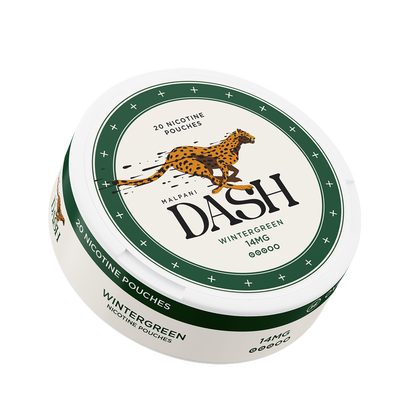 Dash Wintergreen - 14mg
