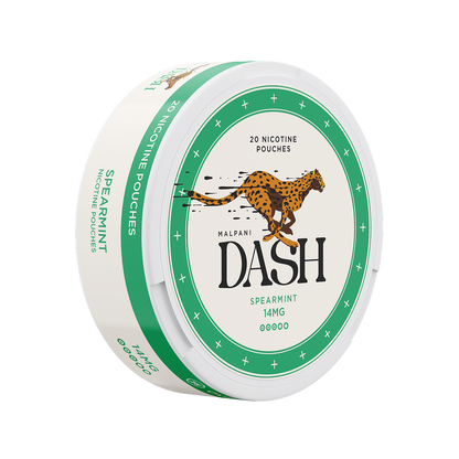 Dash Spearmint - 14mg